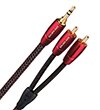 Audioquest golden gate jack/2 rca 1.0 метр